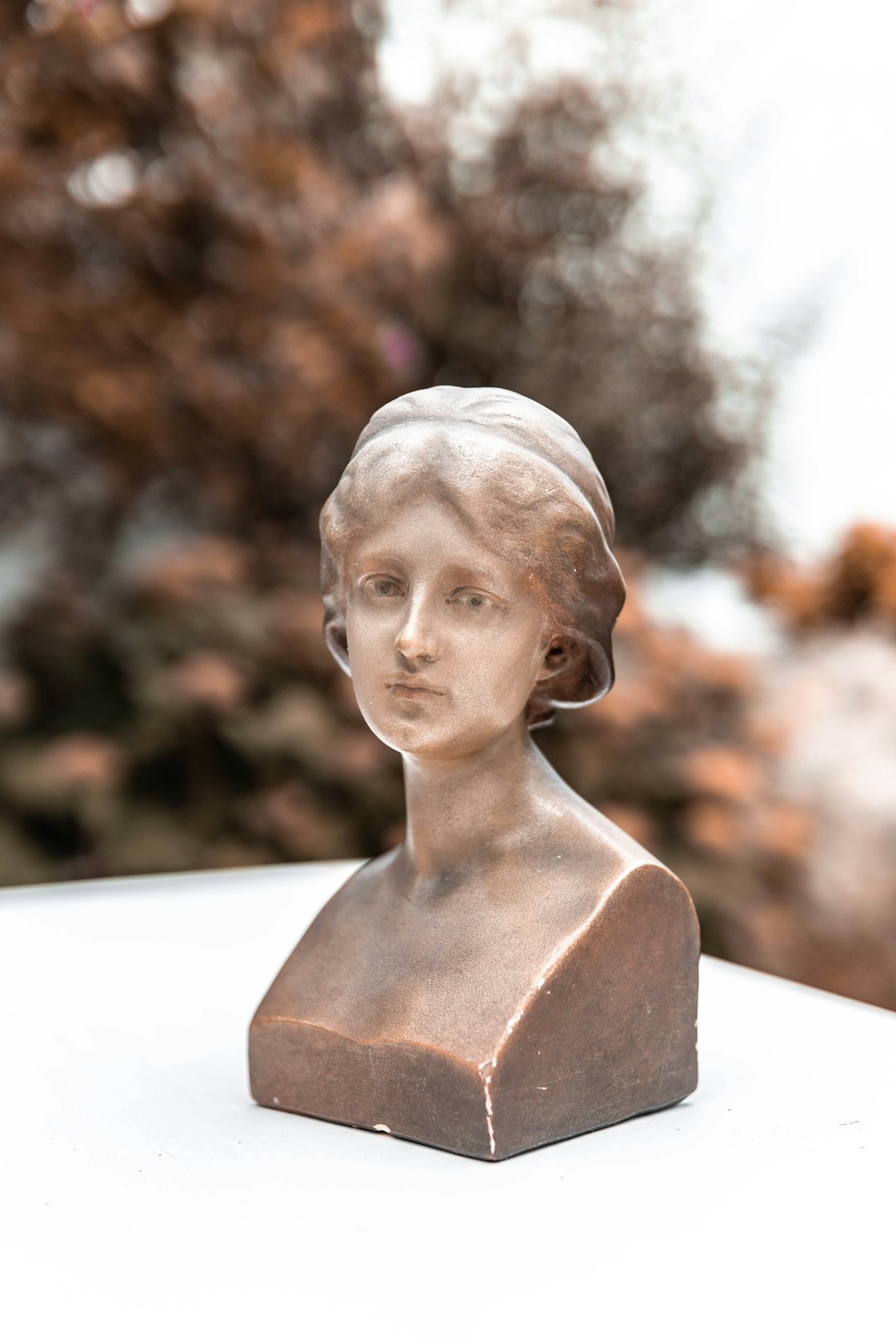 shallow focus photo of woman bust statue