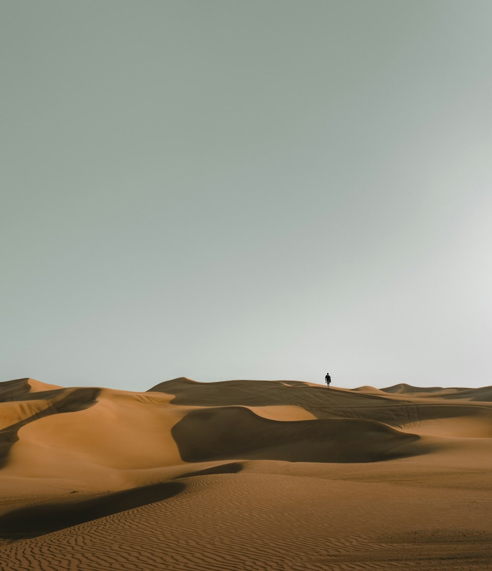 silhueta da pessoa no deserto durante o dia