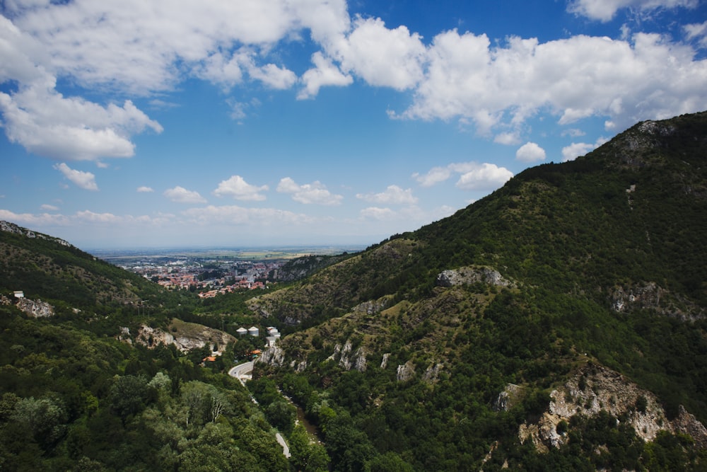 green tree covered mountains