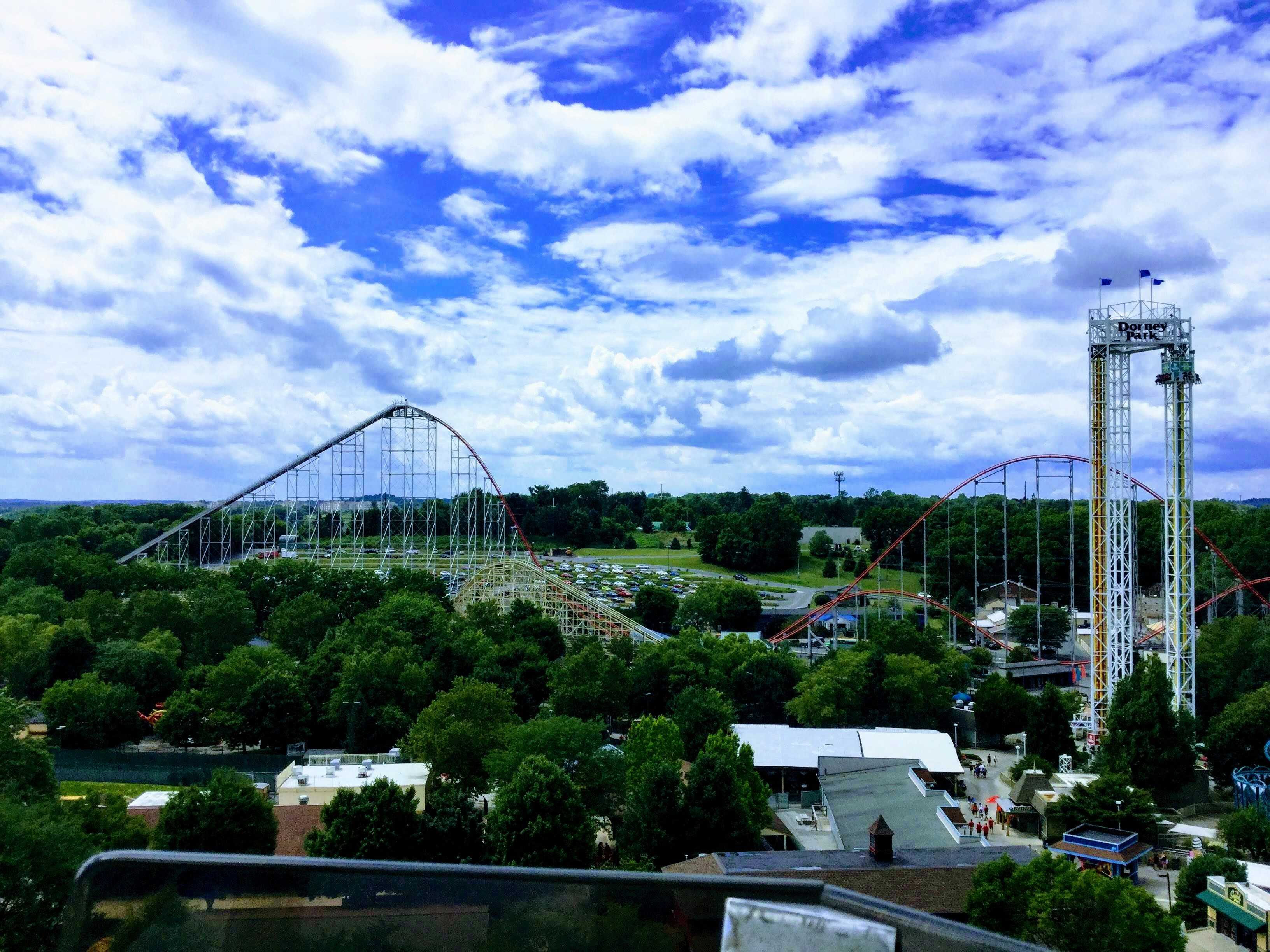 roller coaster surrounded by trees