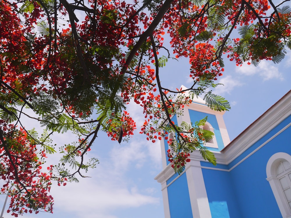 white and blue concrete building besides red and green tree