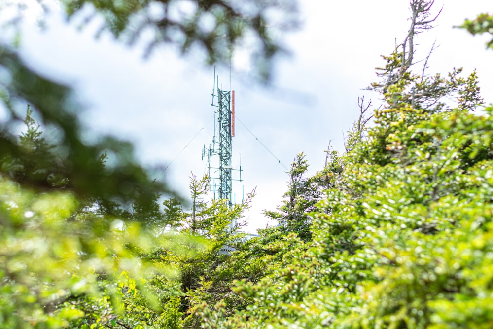 green plants across blue steel tower during daytime