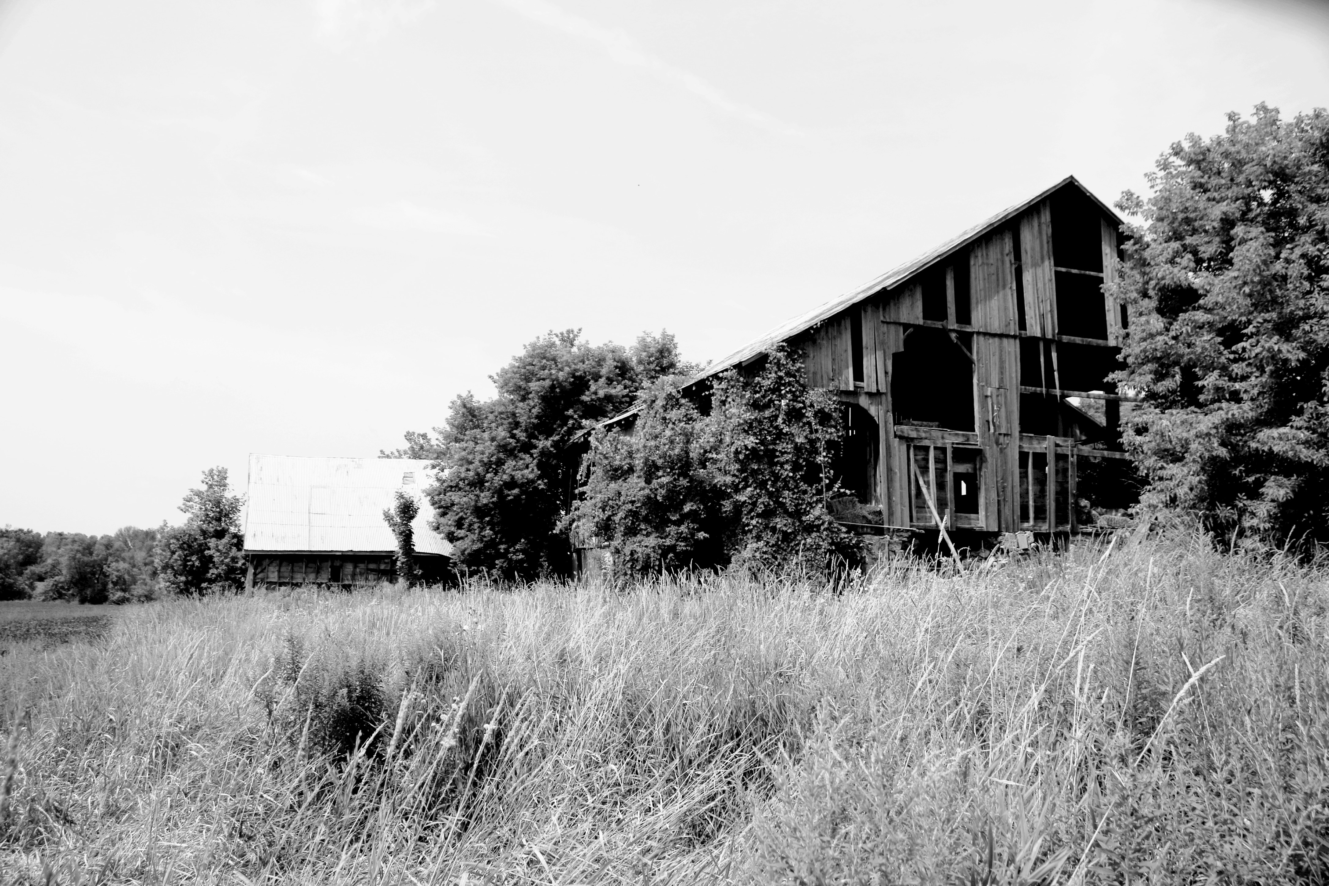 Photo by richardworks