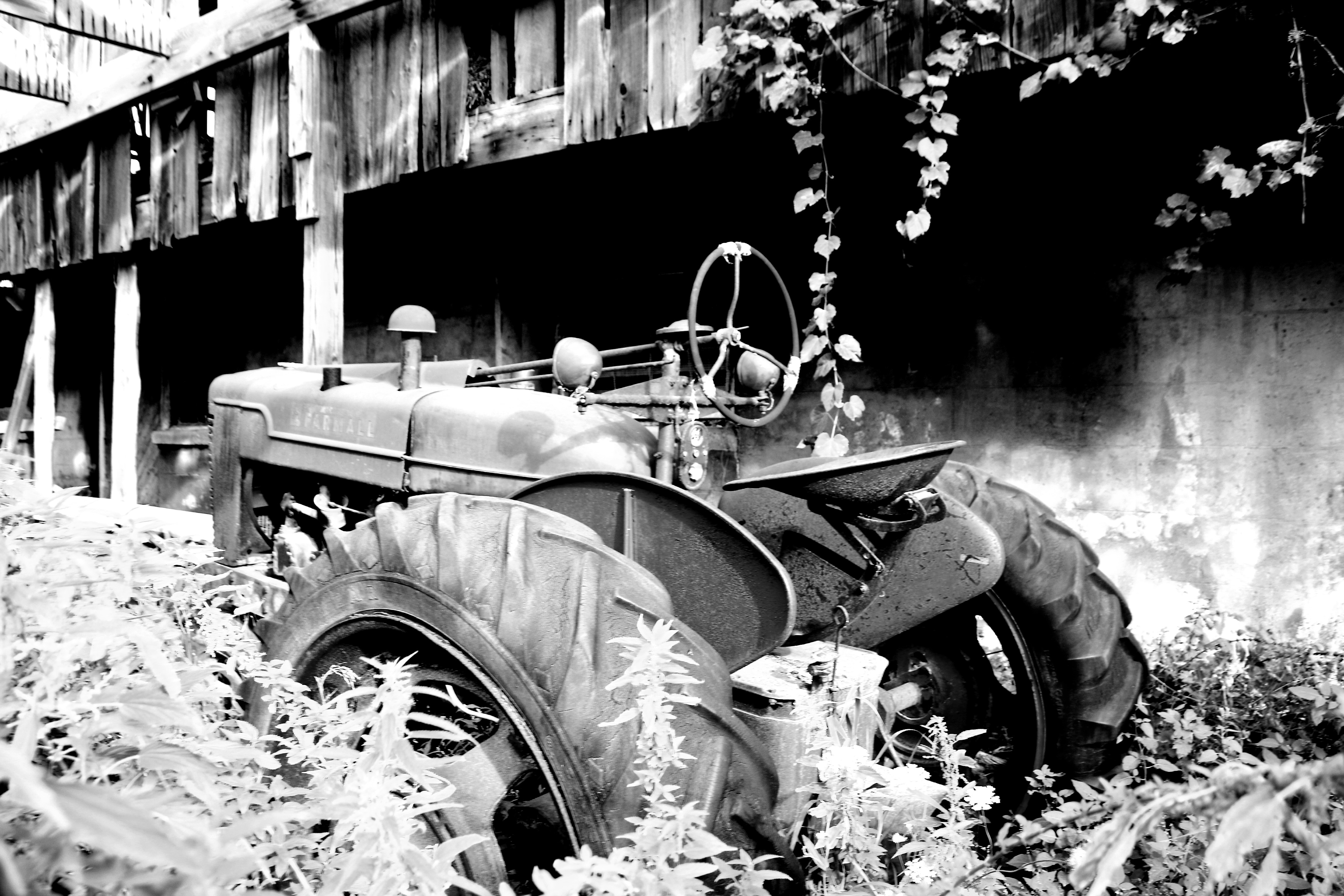 Photo by richardworks