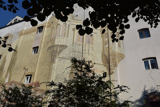 A building facade featuring a mural with architectural elements like windows and columns, creating an illusion of depth. The mural is weathered, with some parts looking faded. The scene is partially obscured by the silhouette of leaves from a nearby tree.