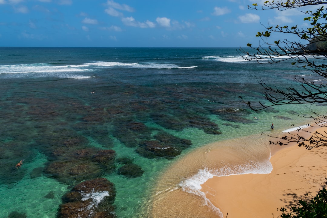 bird's eye view photography of beach line