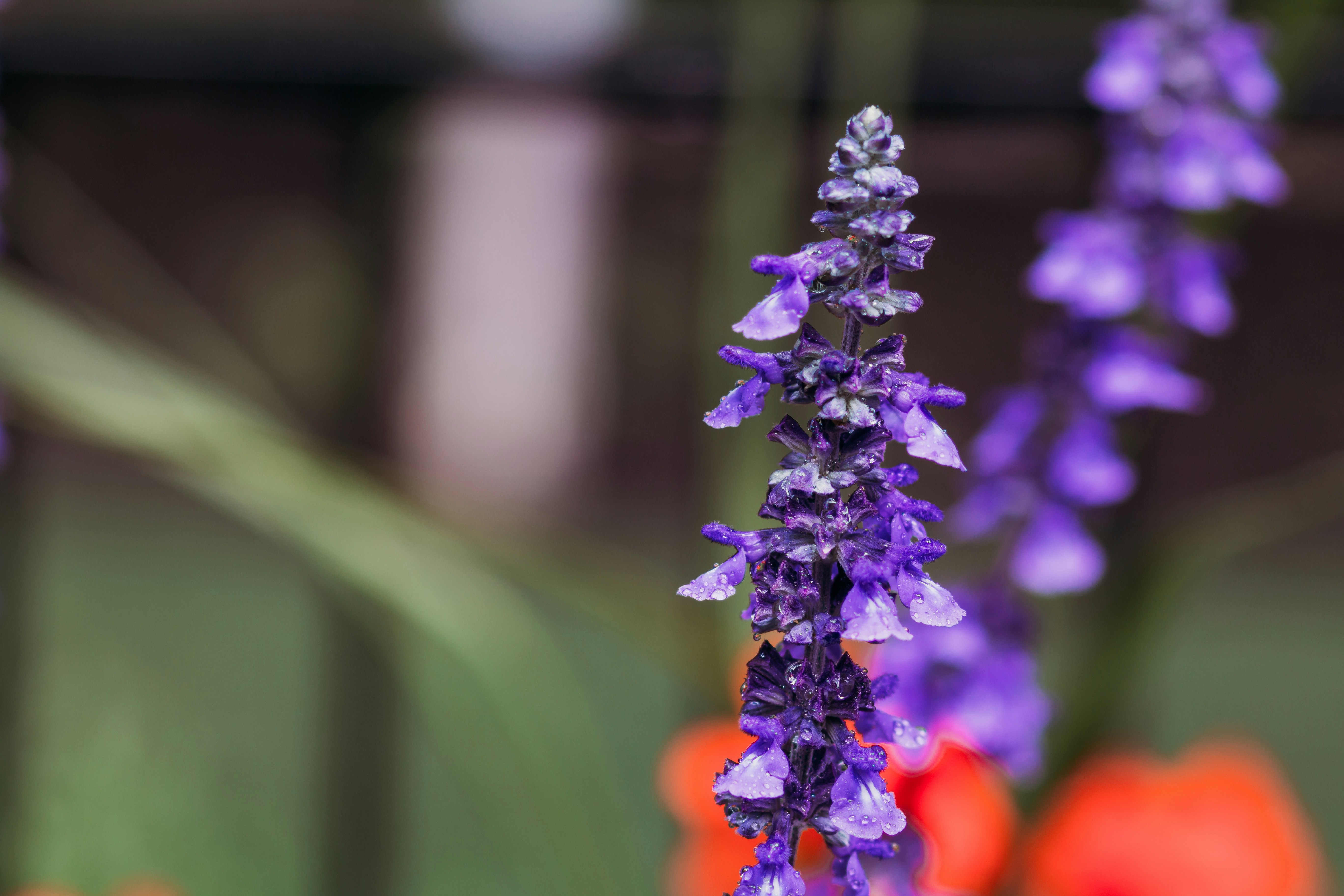 Photo by maciejonesphotography