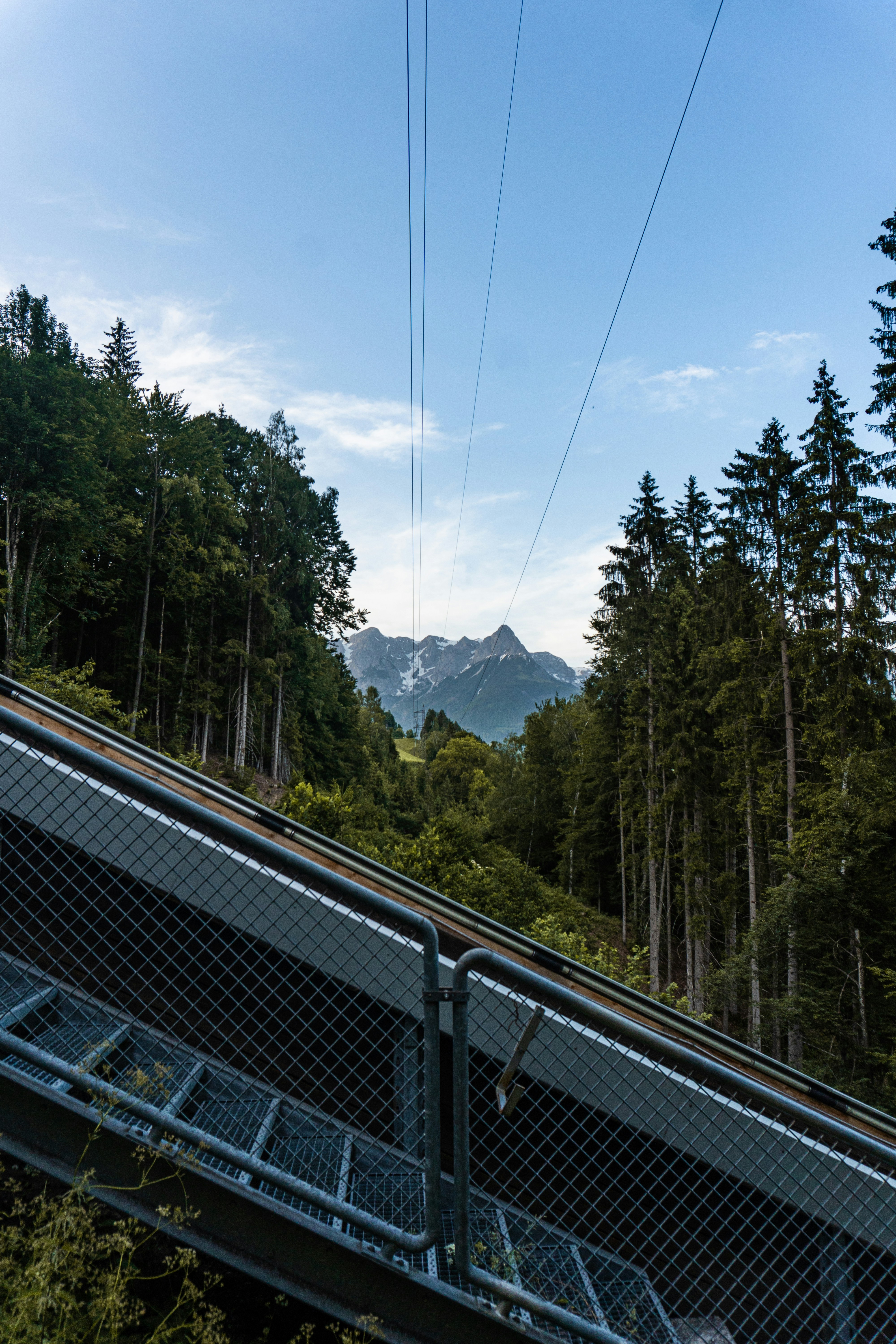 Green trees neear mountain photo – Free Blue Image on Unsplash