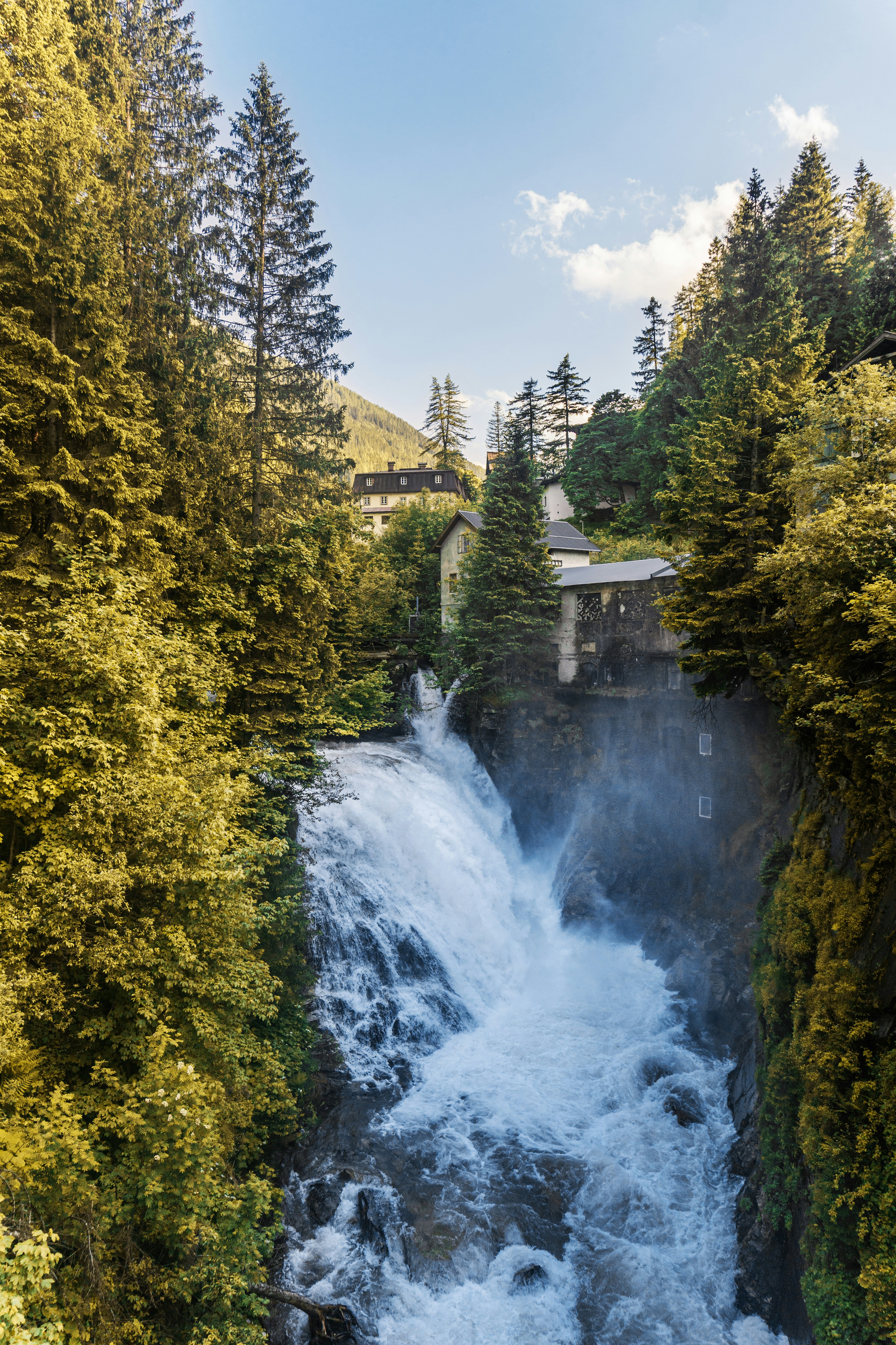 waterfalls surrounded by trees