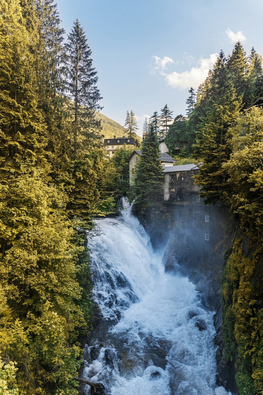 waterfalls surrounded by trees