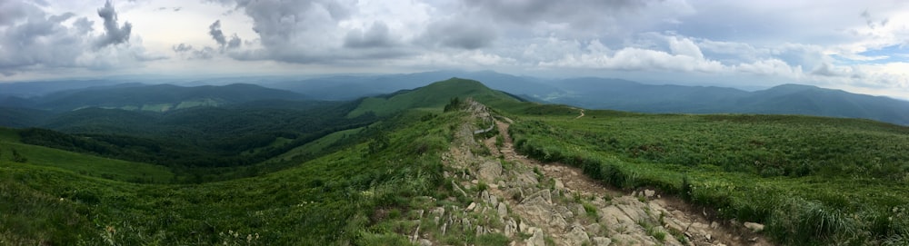 green grass on mountain