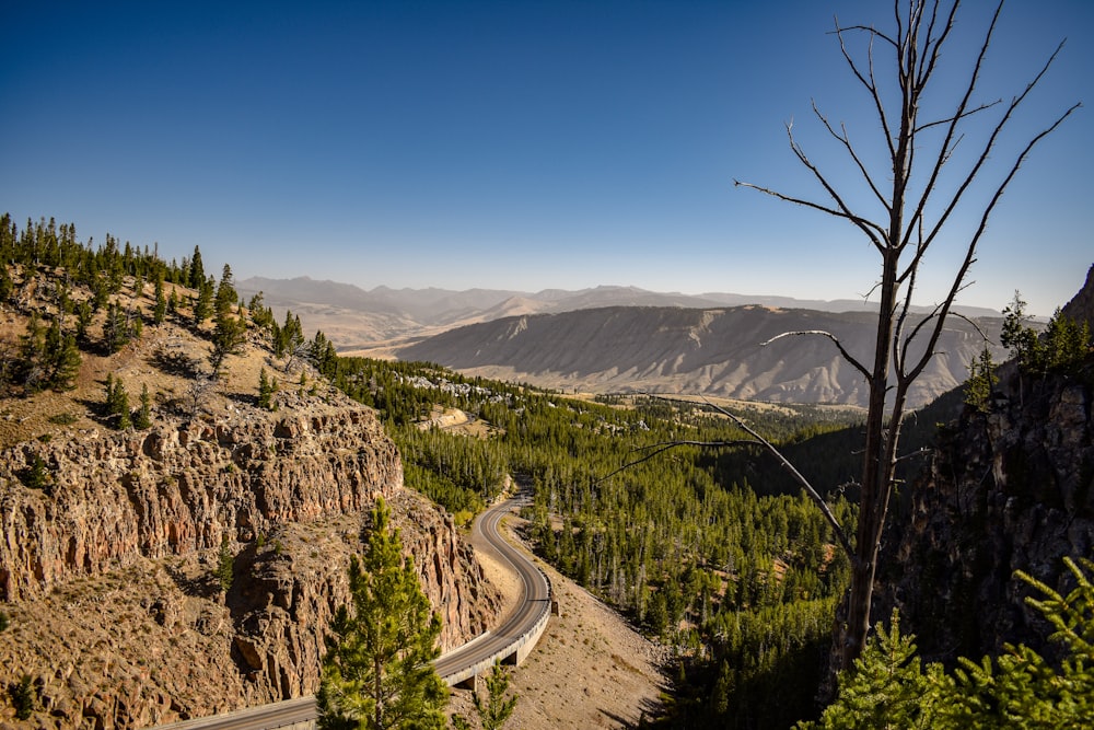 birds eye photography of road beside mountain