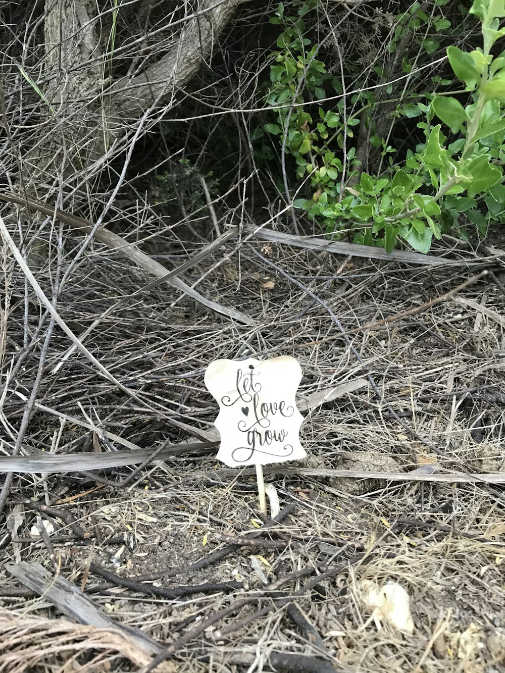 a sign that is sitting in the dirt