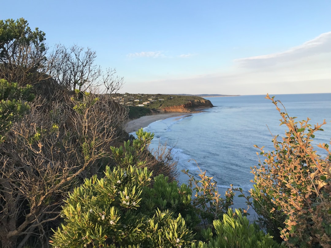 Shore photo spot 66A Eagle Rock Parade Barwon Heads VIC