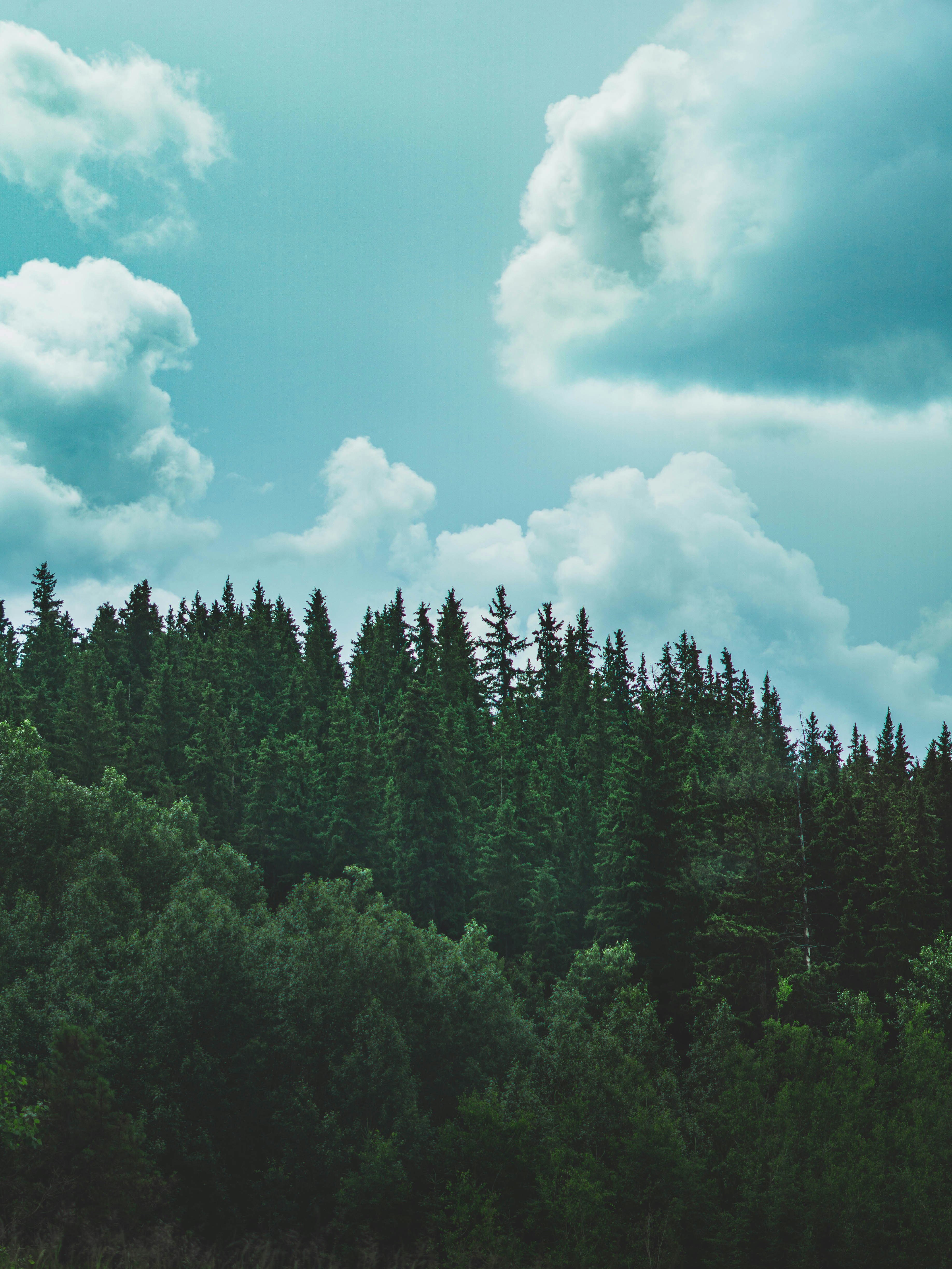 Photo by beer_drinker649