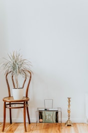 green plants on brown wooden chair