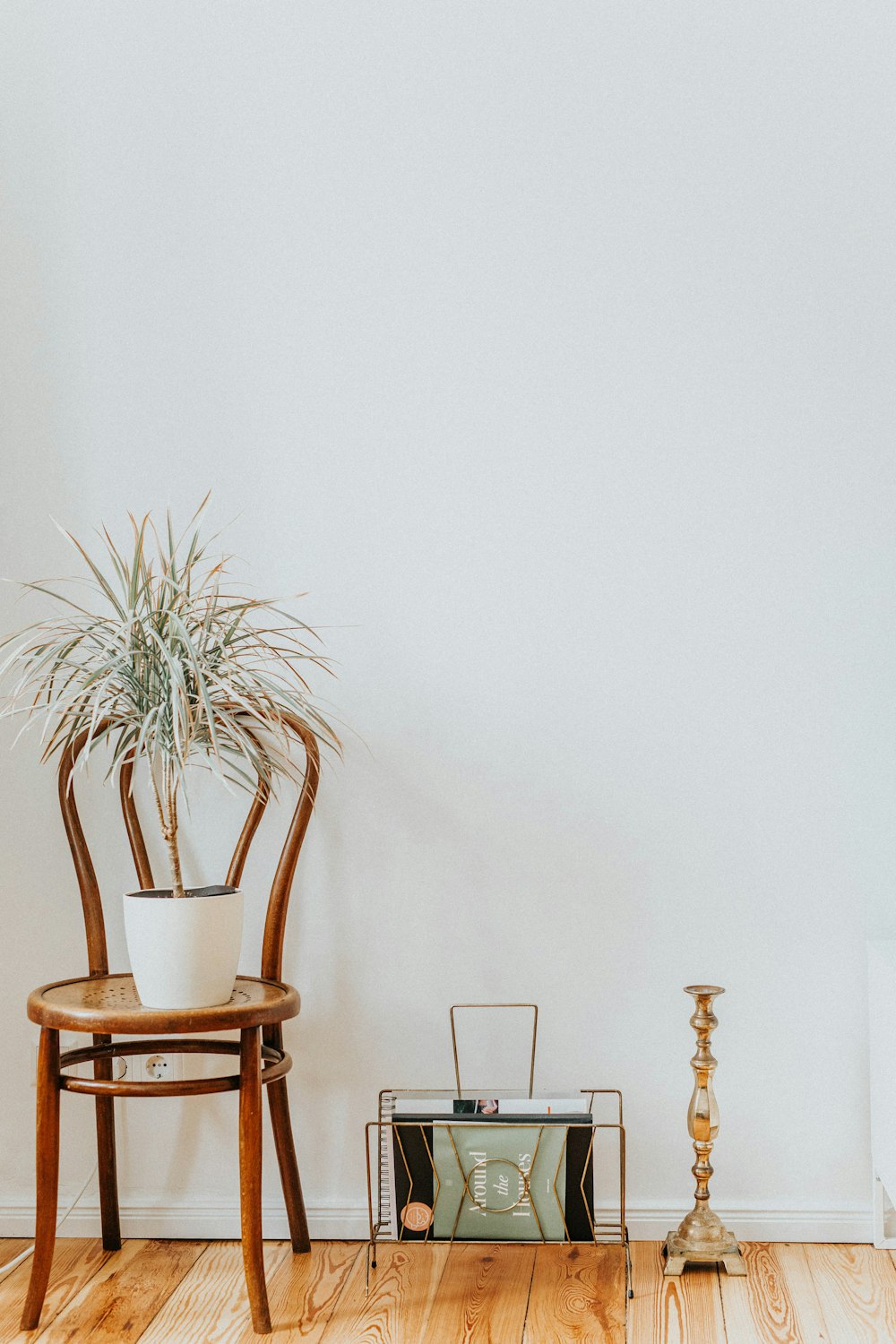 green plants on brown wooden chair