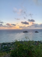 A scenic view of Rote Island's coastline at sunset.