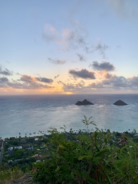 A scenic view of Rote Island's coastline at sunset.