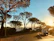 A scenic view of a car driving along a coastal road in Sri Lanka during sunset.