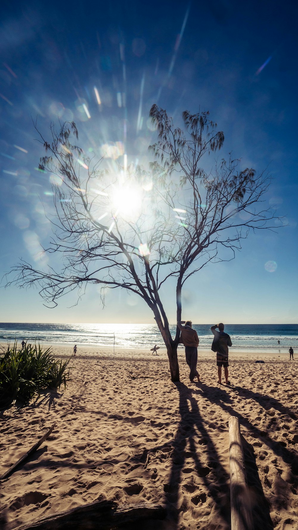 woman and man standing near tree