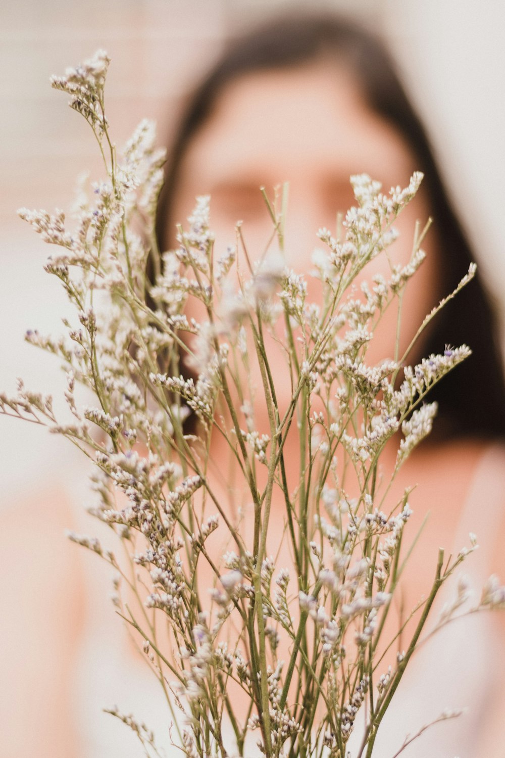 shallow focus photo of white flowers