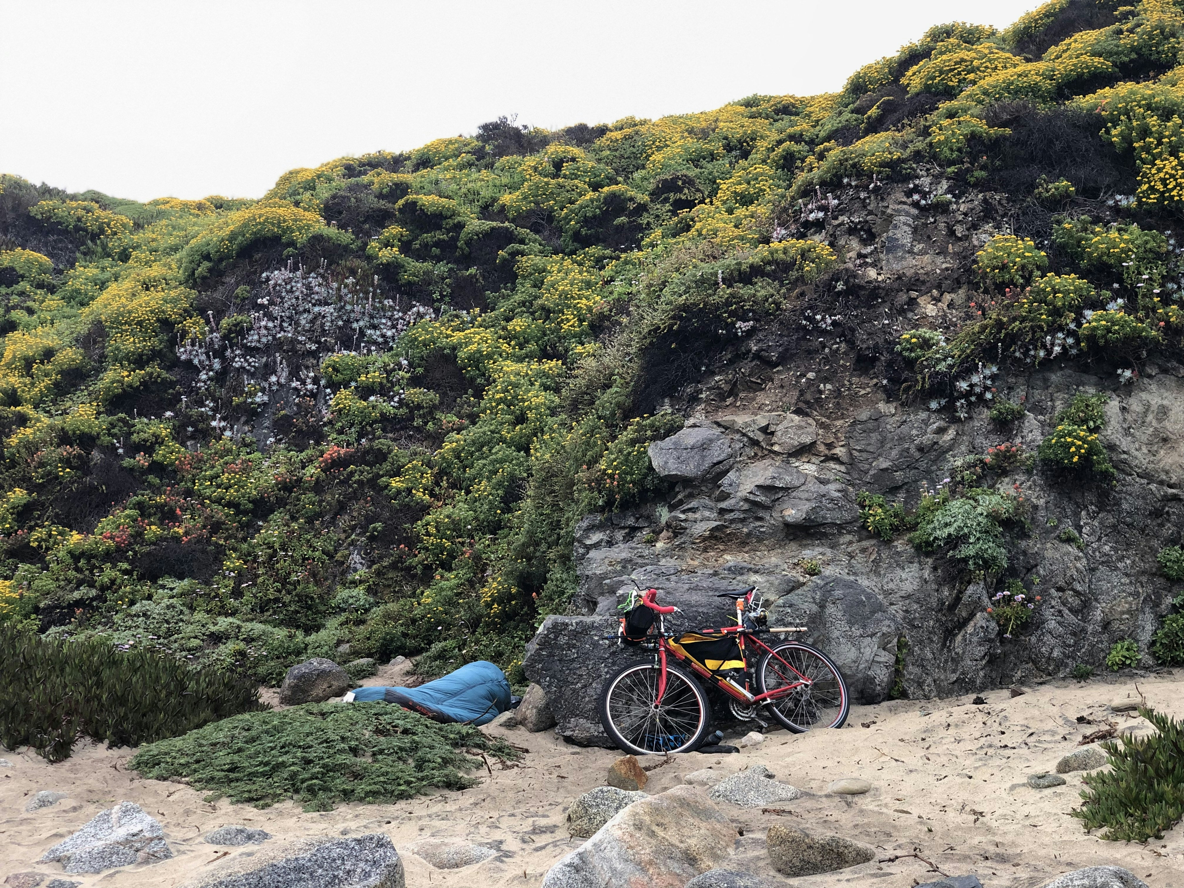 red bike leaning on rock with plants