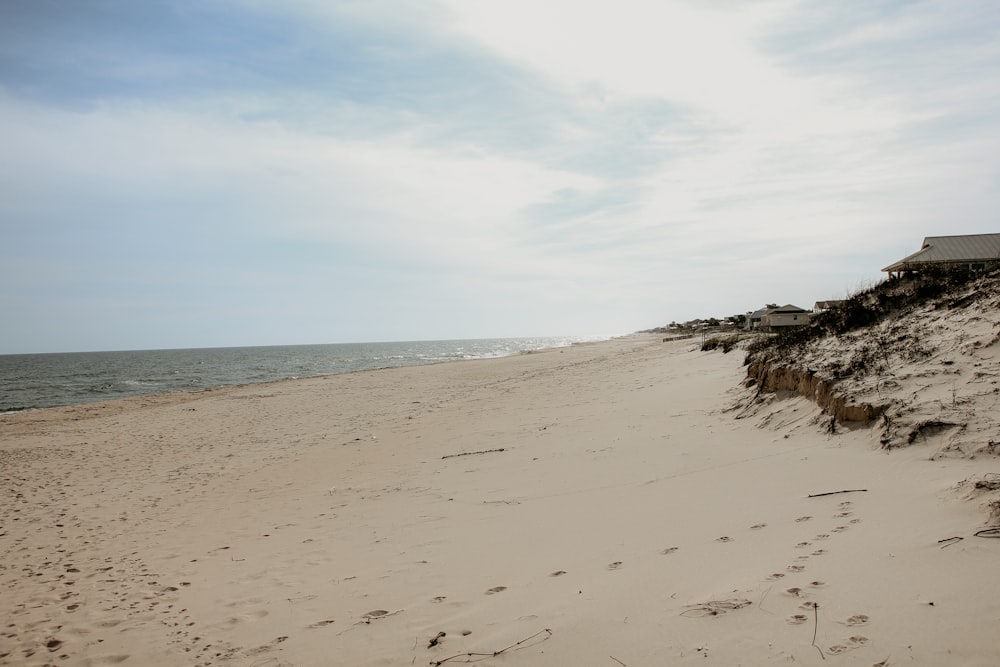 seashore and body of water