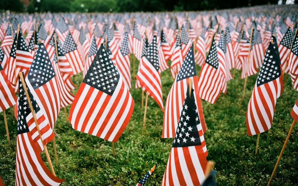 USA flag lot