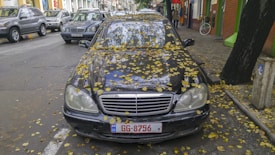 A black car with a license plate displaying GG-8756 is parked on a street covered with yellow fallen leaves, with several leaves scattered on the car. Surrounding the car, there are other parked vehicles, a tree on the right-hand side, and buildings lining the street which features some pedestrians.