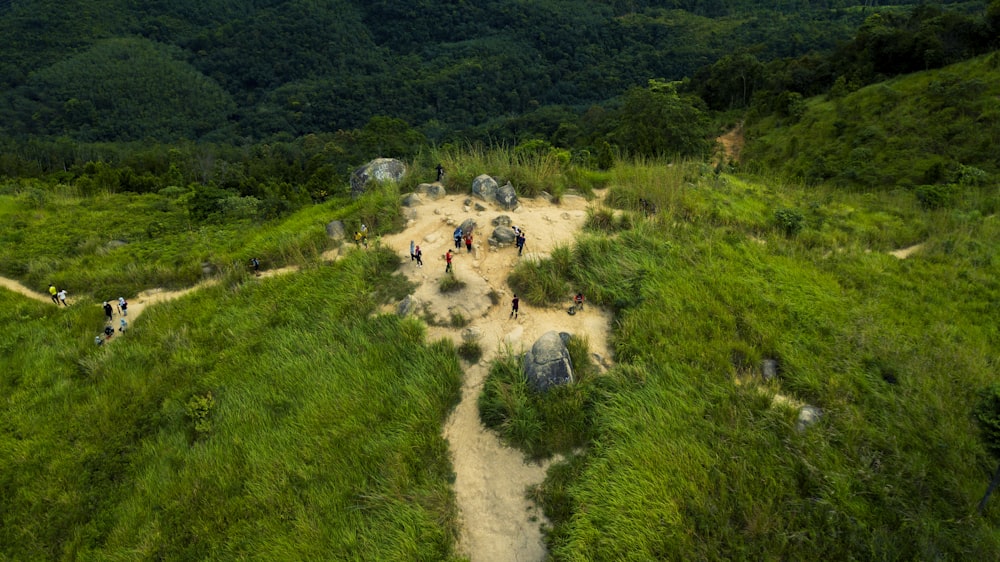 people standing near trees