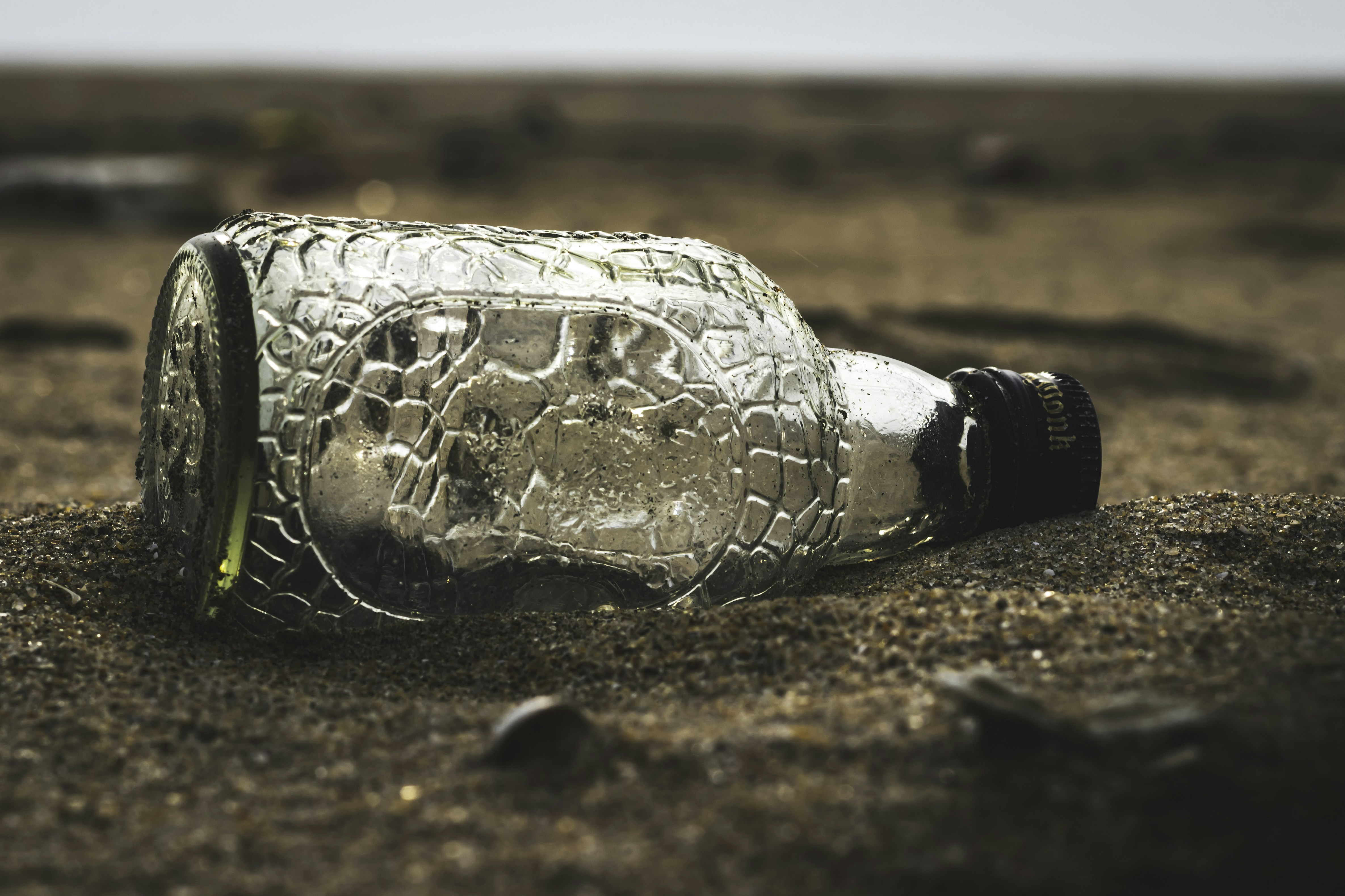 Photo by phoenixprithivi