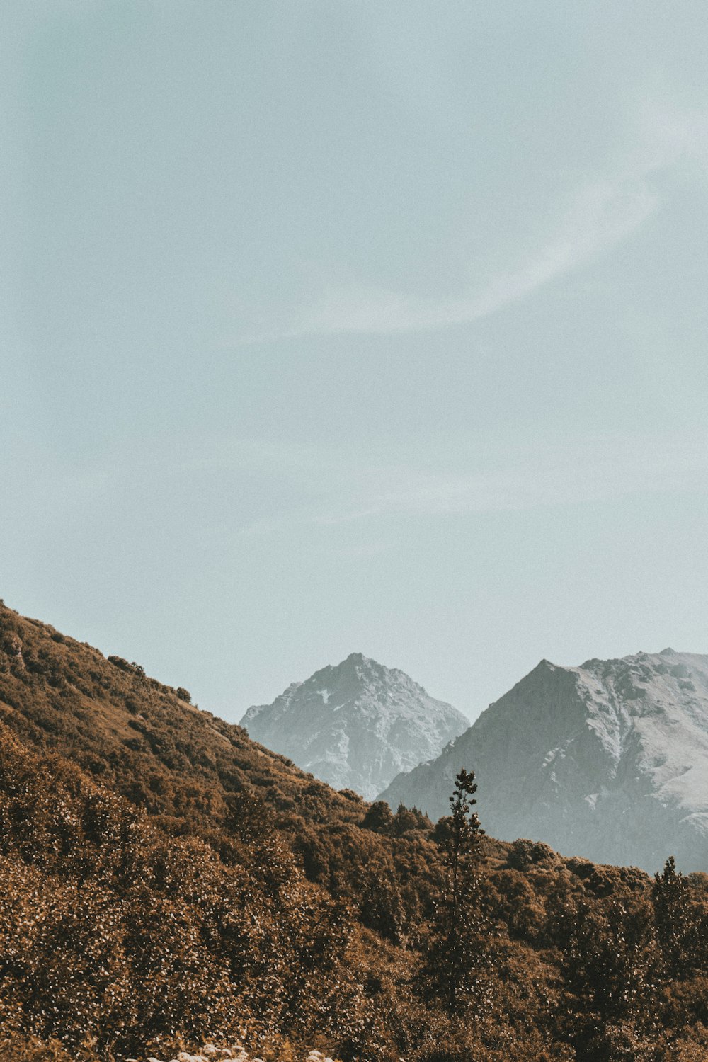 photography of brown mountain range during daytime