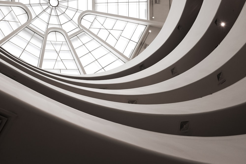 white concrete building