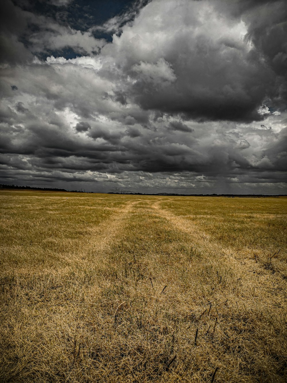 Campo marrom durante o dia