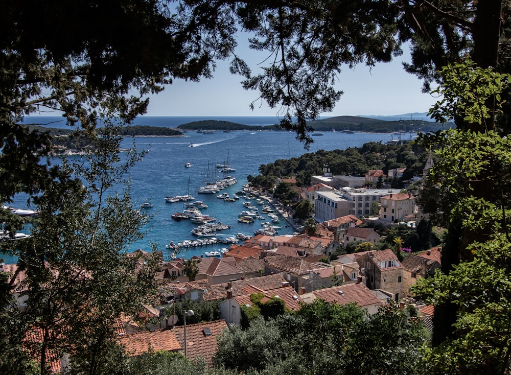 aerial view of buildings and boat during faytime