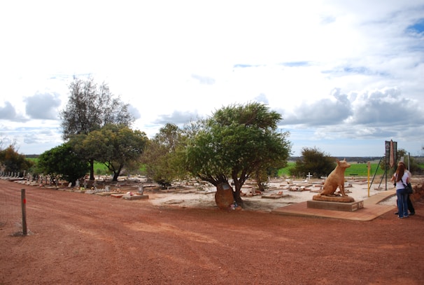 A dirt pathway leads past a cemetery dotted with gravestones and trees, with a large statue of a dog sitting prominently on the right side. In the background, a cloudy sky stretches across the horizon, and a few people stand nearby observing the scene.