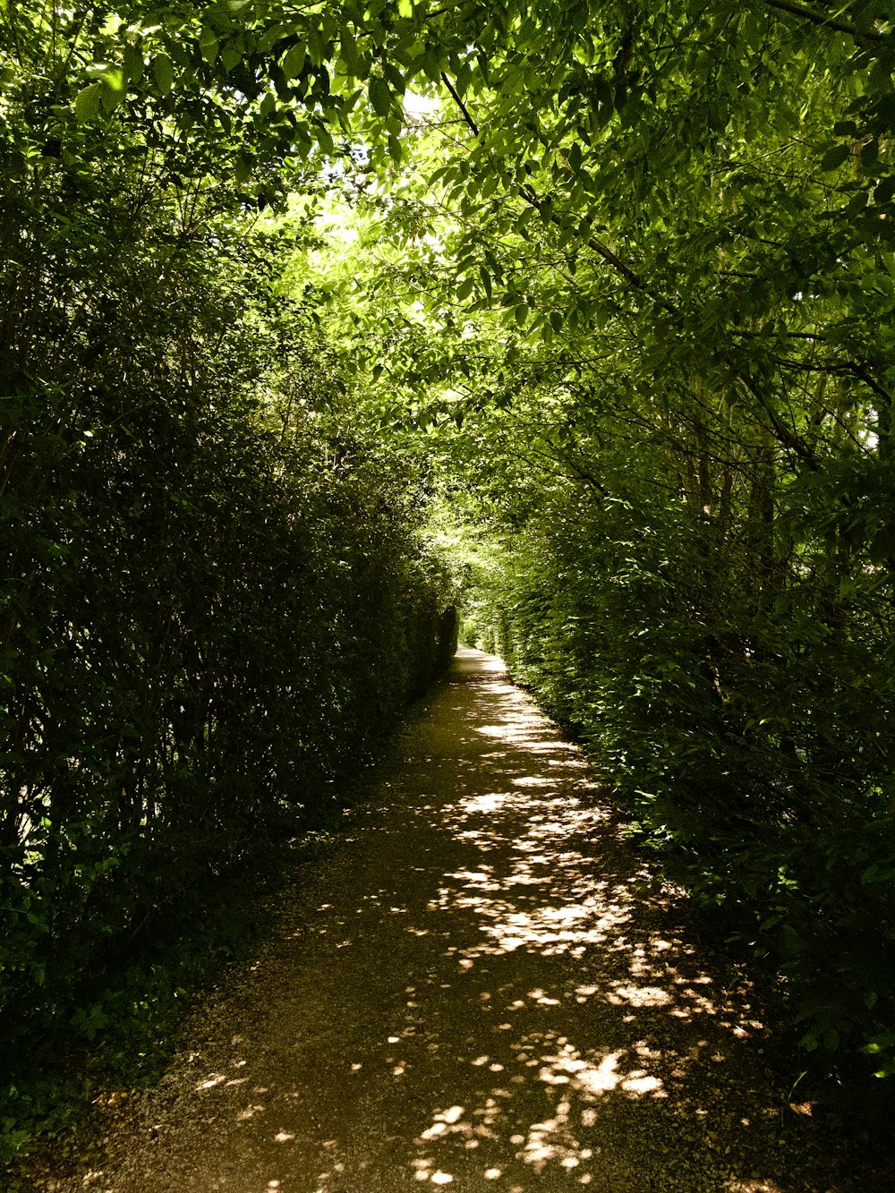 green trees