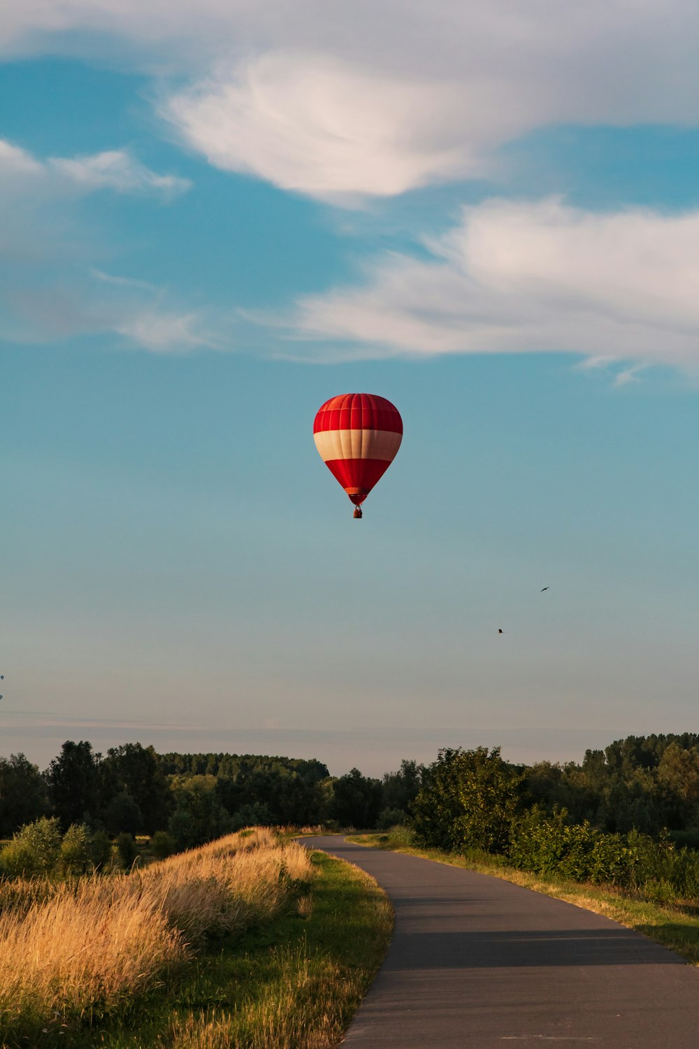 red and white hot air balloon during daytime