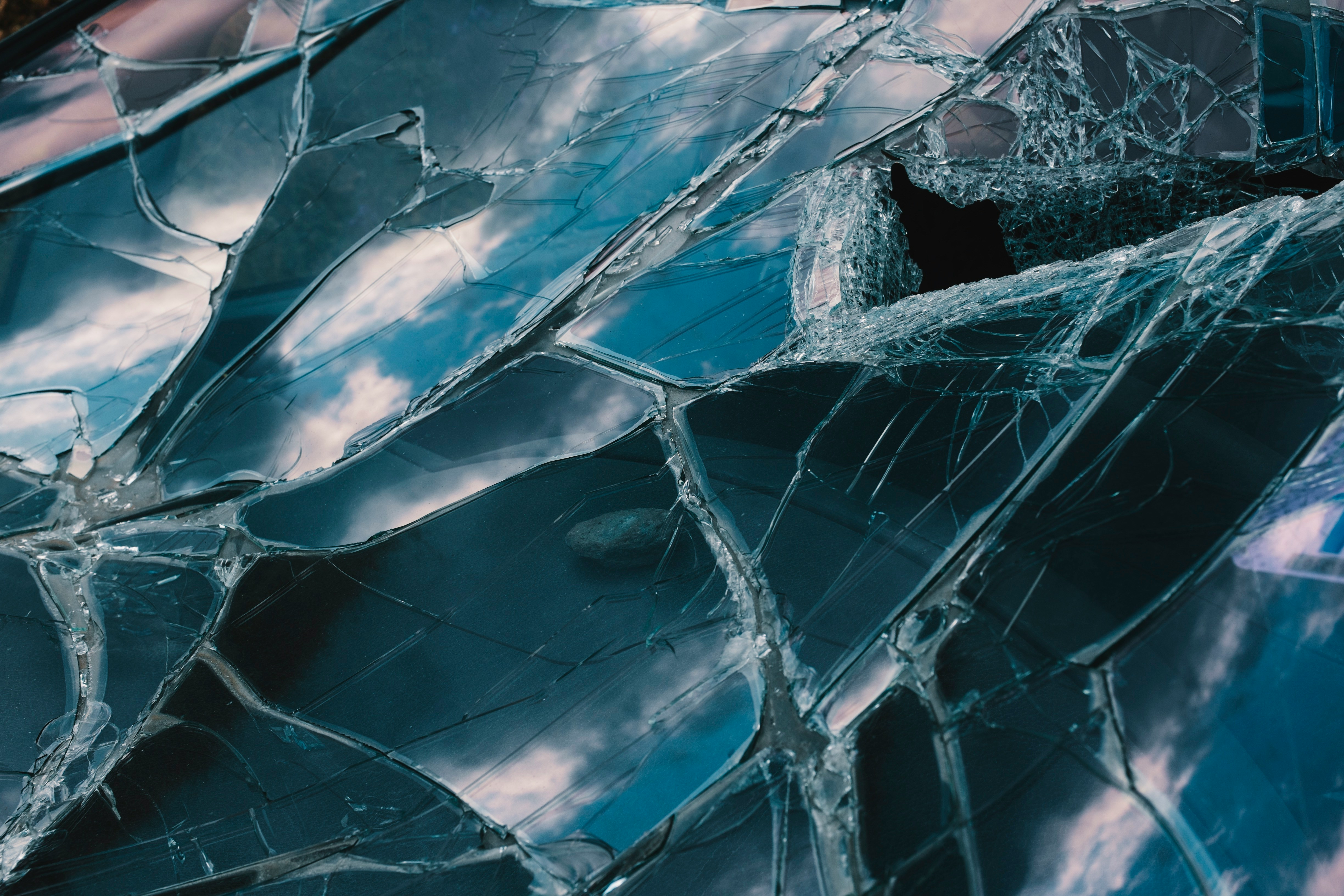 Engineered to Survive, Destined to Stagnate: The Fragility Hidden Inside Bulletproof Organizations
