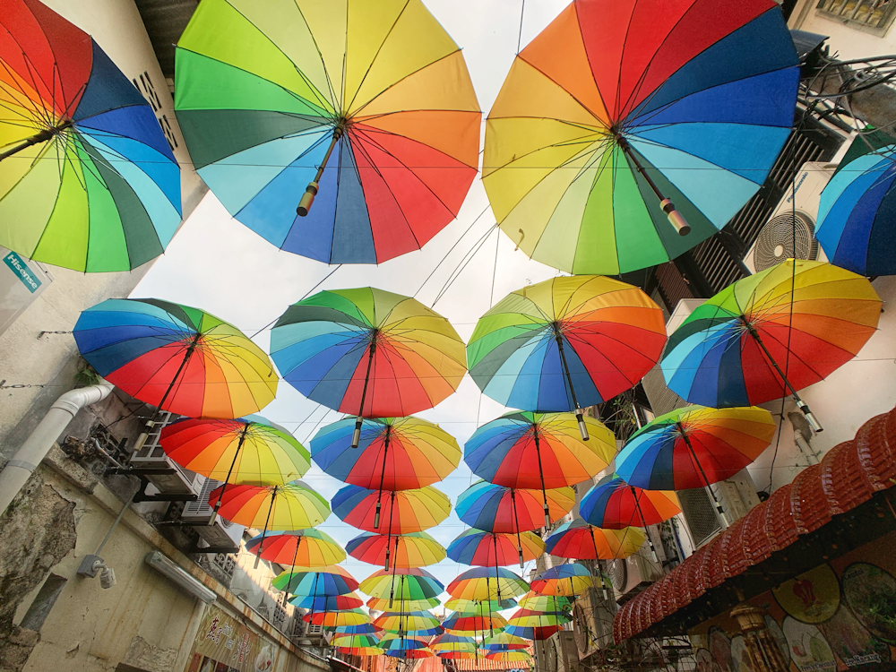 multicolored umbrella lot