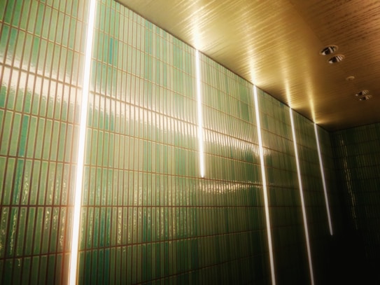 A modern interior space with vertical green tiles covering the wall, illuminated by vertically aligned white fluorescent lights. The ceiling is wooden with recessed lighting fixtures, creating a sleek, contemporary atmosphere.