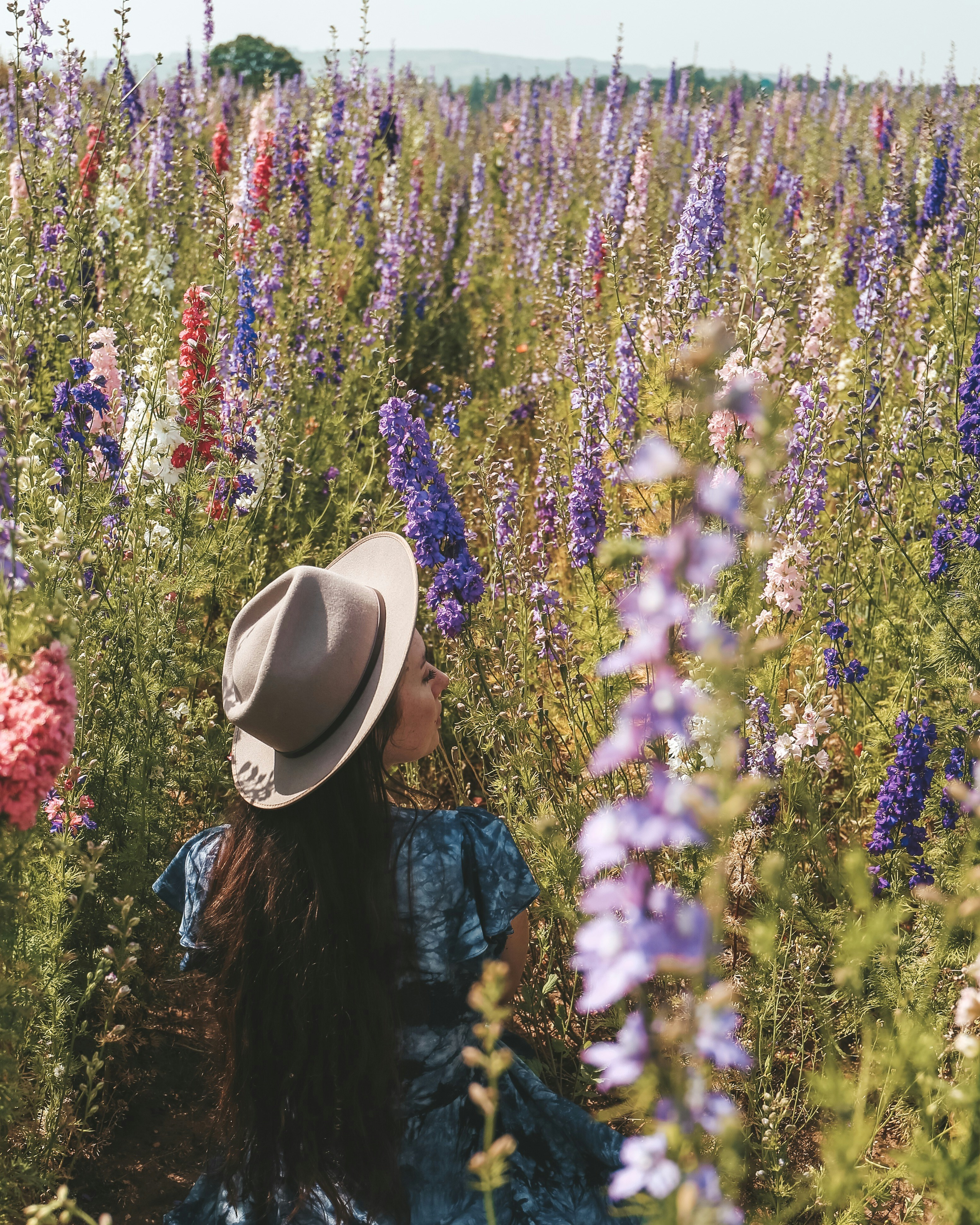 Wildflower Wanderlust