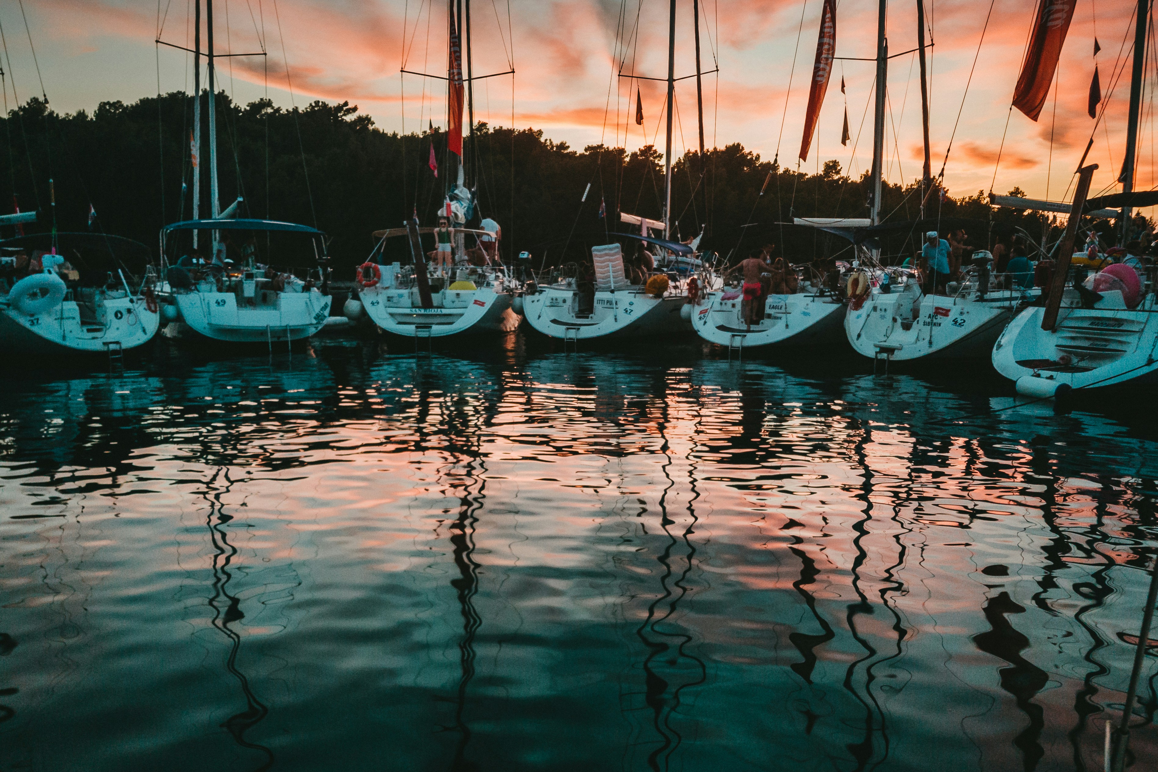 boats docked during golden hour