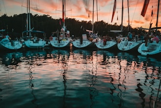 boats docked during golden hour