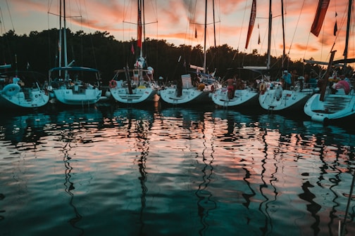 boats docked during golden hour