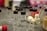 Several small transparent vials with black caps and handwritten labels are placed on a table. Around them are various lab equipment items, including plastic connectors and tubing. The background is slightly blurred, with hints of other lab materials and containers.