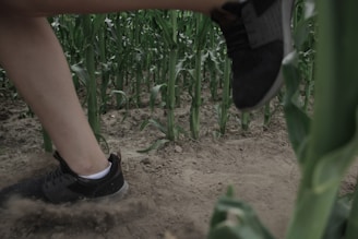 Close-up of determined runner's feet kicking up sand during a sprint race.