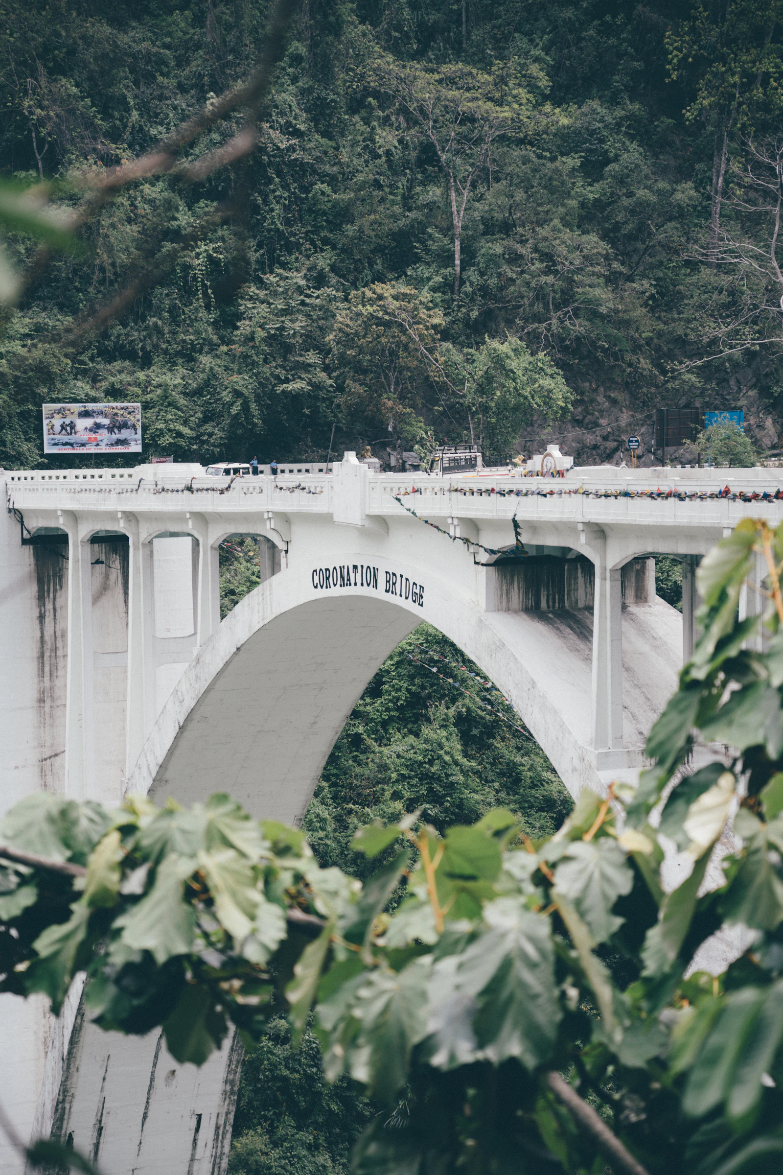 The white arch of the Coronation Bridge over the Teesta gorge at Sevoke, framed by leaves against the forested slope