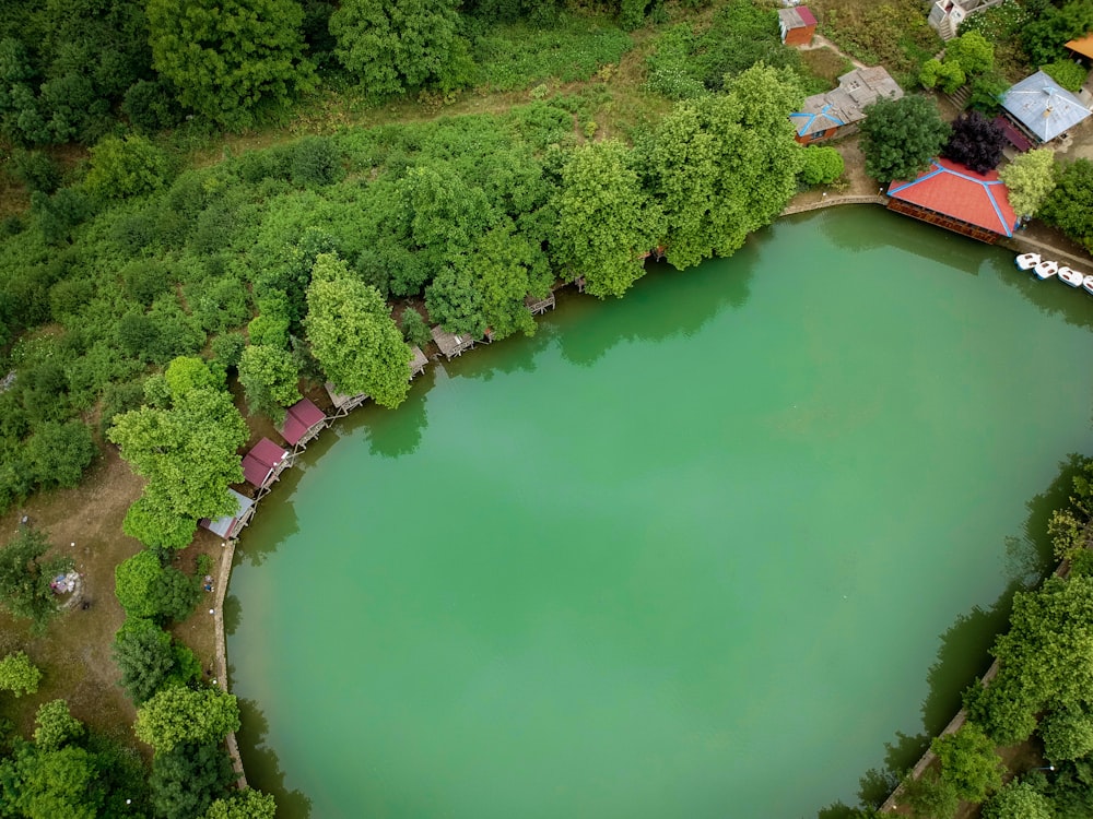 body of water near a building a trees during daytime